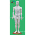 Human acupuncture model 60CM